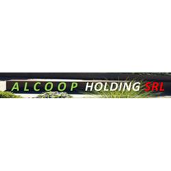 Alcoop Holding S.r.l., Roma orari di apertura