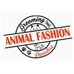 Animal Fashion Paradise, Viareggio orari di apertura