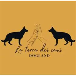 La terra dei cani - Dogland, Recale orari di apertura