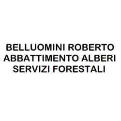 Belluomini Roberto, Capannori orari di apertura