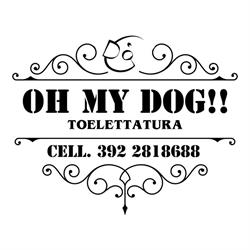 OH MY DOG!! Toelettatura, Reana del Rojale orari di apertura