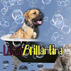 Lacca e Brillantina, Chieti orari di apertura