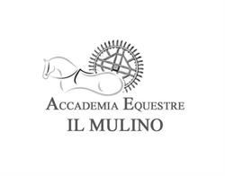 Accademia Equestre Il Mulino, Casaleone orari di apertura
