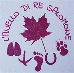 L'Anello di Re Salomone, Milano orari di apertura