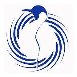 Pinguino Nuoto Avezzano, orari di apertura