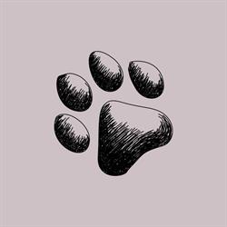Anima Pura - Pet Shop e Toelettatura, Pergine Valsugana orari di apertura