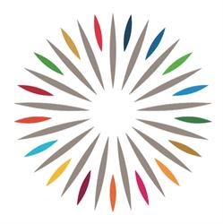 PRAGMETICA SB Srl, Ladispoli orari di apertura