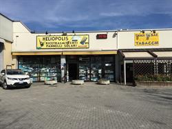 HELIOPOLIS ROSSANIGO Claudio www.rossanigo.com, Rivarolo Canavese orari di apertura