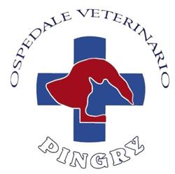 Ospedale Veterinario Pingry, Bari orari di apertura