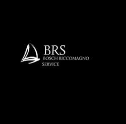 B.R.S BOSCH RICCOMAGNO SERVICE, Camaiore orari di apertura