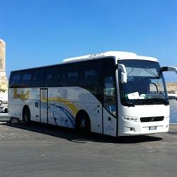 Paolo Bus Di Tonarelli & C. Snc, Forlì orari di apertura