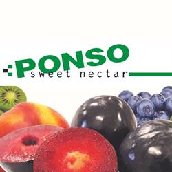Ponso Frutta, Saluzzo orari di apertura