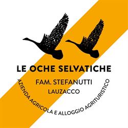 Azienda Agricola Stefanutti Pavia di Udine, Lauzacco - Orari di apertura