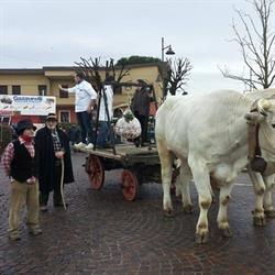 Gazzurelli Macchine Agricole, Lonato del Garda orari di apertura