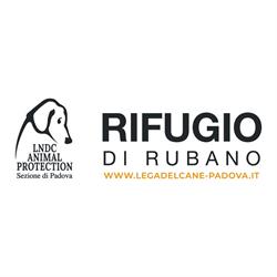 Canile - Rifugio di Rubano, orari di apertura