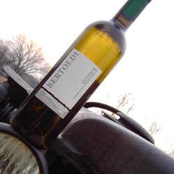 Azienda Agricola Bertoldi - Produzione Vini Tipici e Doc, Bussolengo orari di apertura