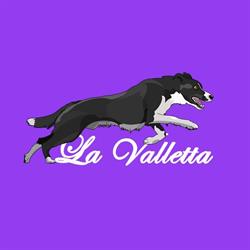 "La Valletta" Scuola Cinofila, Roma orari di apertura