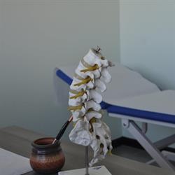 Francesco Baldi Fisioterapia, Parma orari di apertura