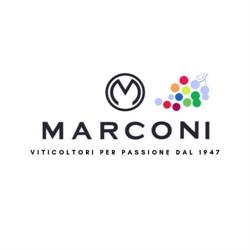 Marconi Vini, San Marcello orari di apertura