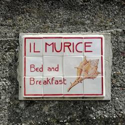Il Murice, Vezzano Ligure orari di apertura