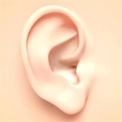 Audiophon Apparecchi Acustici Massa Carrara, orari di apertura