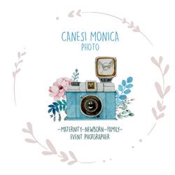 Monica Canesi - Photo, Cremona orari di apertura