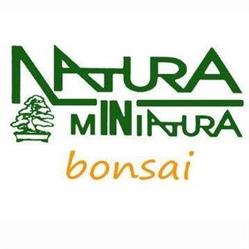 Bonsai Natura In Miniatura, Mondolfo orari di apertura