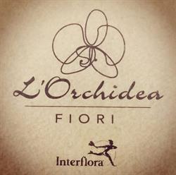 L'Orchidea Fiori e Piante, Morbegno orari di apertura