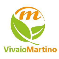 Martino Sergio, Pinerolo orari di apertura