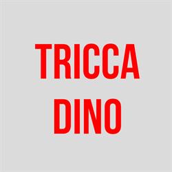 Tricca Dino & C. Snc, Sansepolcro orari di apertura