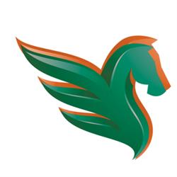Pegaso Servizi, Brandizzo orari di apertura