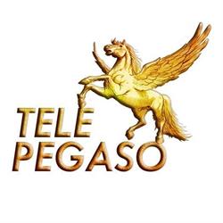 Tele Pegaso, Caltagirone orari di apertura