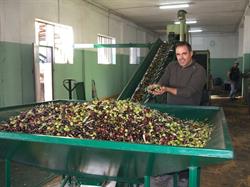 Azienda Agricola Maida, Scandale orari di apertura