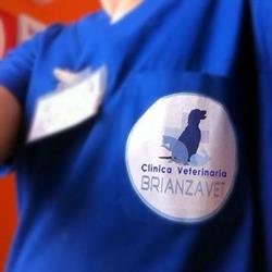Clinica Veterinaria Brianzavet Di Marzola Dott.Ssa Barbara, Caponago orari di apertura