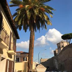 Casa di Accoglienza Paolo VI, Roma orari di apertura