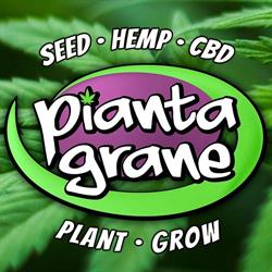 Piantagrane - Orto Grow Hemp CBD, Frascati orari di apertura