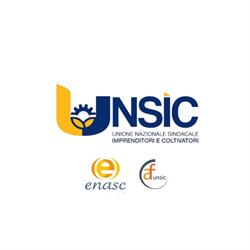 Unsic Provinciale Brescia, orari di apertura