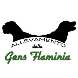 Centro Cinofilo Gens Flaminia, Roma orari di apertura