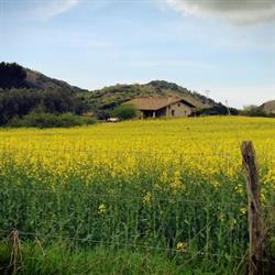 Agriturismo La Baita, Castel Giuliano orari di apertura