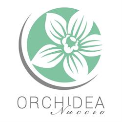 Fioraio & Allestimenti Cerimonie - Orchidea Nuccio, Tricase orari di apertura