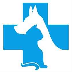 Clinica Veterinaria Tebaldi - Dir San Dott. Aldo Tebaldi, Lonigo orari di apertura