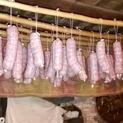Macelleria Le Carni Borsea, Rovigo orari di apertura