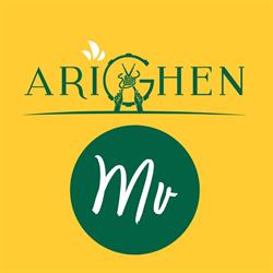 Arighen Gyoza Bar - Montevarchi, orari di apertura