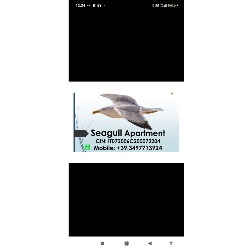 Seagull Apartments Bari Sea & Airport, orari di apertura