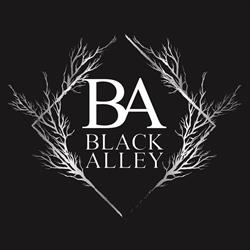 Black Alley Studio, San Giovanni Lupatoto orari di apertura