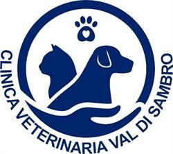 Clinica Veterinaria Val Di Sambro, San Benedetto Val di Sambro orari di apertura