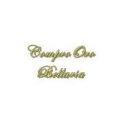 Compro Oro e Argento Rimini - BellariaOro, Bellaria-Igea Marina orari di apertura