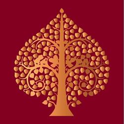 Tonpho Thai Massage Center, Roma orari di apertura