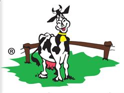 Azienda agricola Basso, Venezia orari di apertura