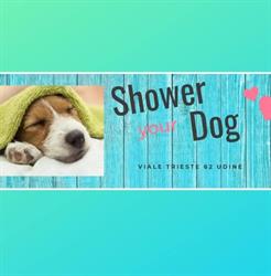 Shower Dog Udine, orari di apertura